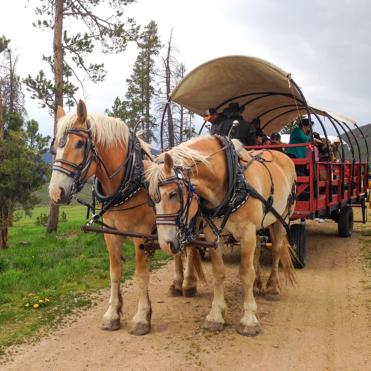 Keystone Wagon Ride Dinner